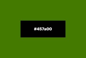 Schönste Farben für Websites - Moosgrün